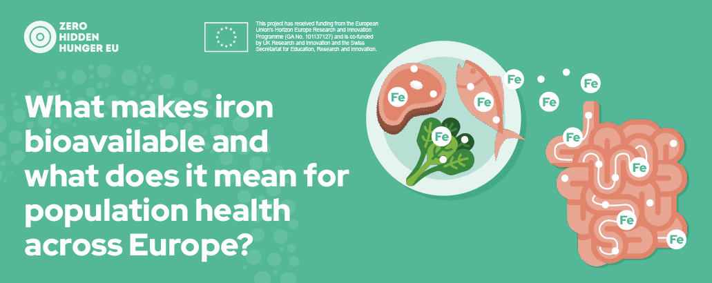 ZHH-Iron-Bioavailability_web-banner