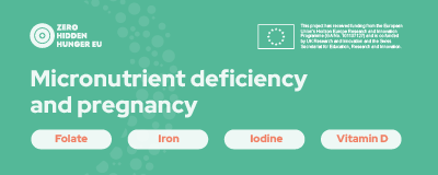 ZHH-Micronutrient-pregnancy_thumbnail